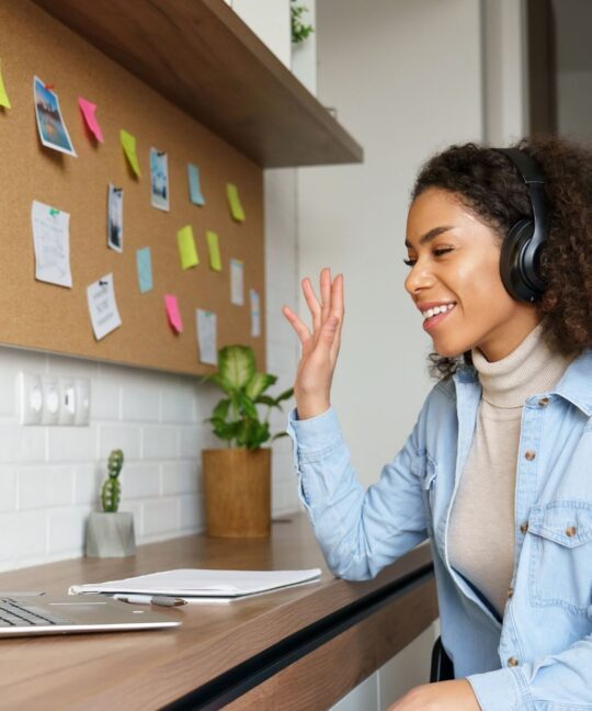 agent using Virtual Call Center Software